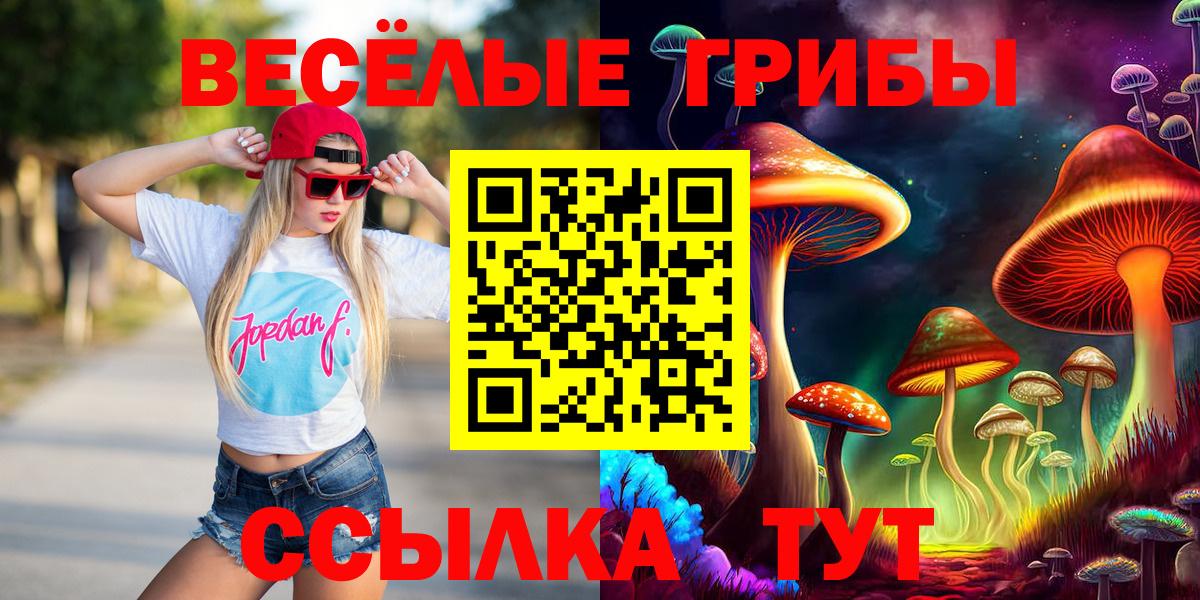 Галлюциногенные грибы Psilocybine cubensis Керчь